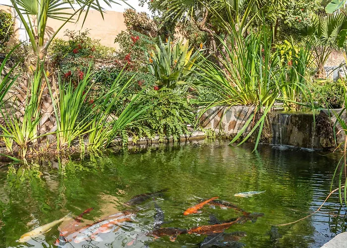 Casablanca 20 Oasis